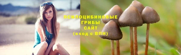 mix Аркадак