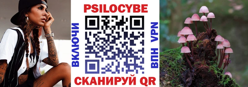 Купить  Перевоз  Псилоцибиновые грибы мицелий 